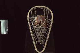 Image representing Snowshoe.