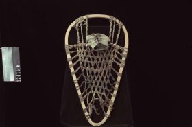 Image representing Snowshoe.