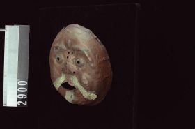 Image representing Mask.