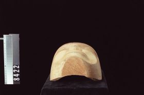Image representing Mask.
