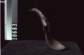 Image representing Spoon.
