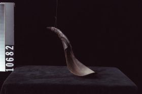 Image representing Spoon.