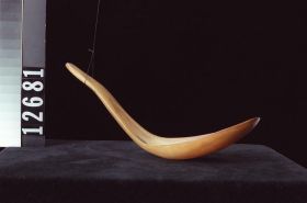 Image representing Spoon.