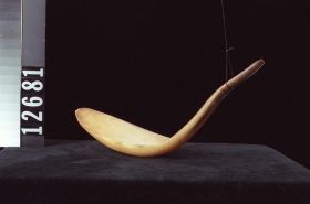 Image representing Spoon.