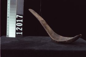 Image representing Spoon.