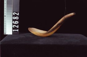 Image representing Spoon.
