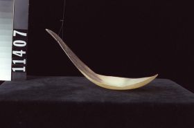 Image representing Spoon.