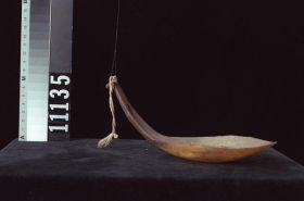 Image representing Spoon.