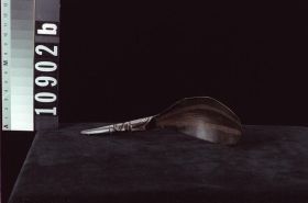 Image representing Spoon.