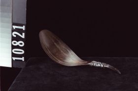 Image representing Spoon.