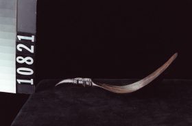 Image representing Spoon.