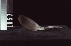 Image representing Spoon.