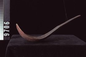 Image representing Spoon.