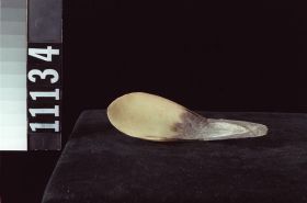 Image representing Spoon.
