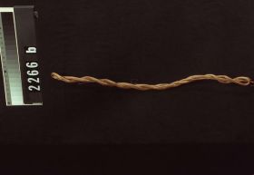 Image representing Lashing.