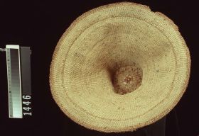 Image representing Hat.