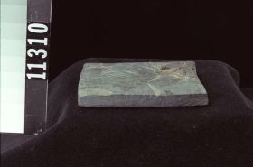 Image representing Raw Material.
