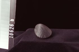 Image representing Carving.