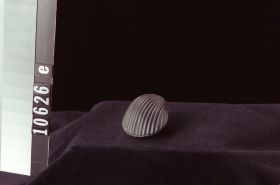 Image representing Carving.