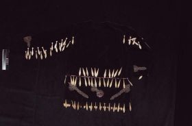 Image representing Shirt.