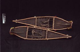 Image representing Snowshoe.