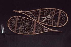 Image representing Snowshoe.