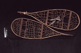 Image representing Snowshoe.