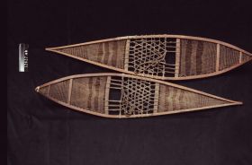 Image representing Snowshoe.