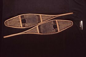 Image representing Snowshoe.