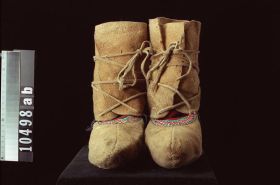 Image representing Moccasin.
