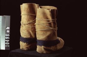 Image representing Moccasin.