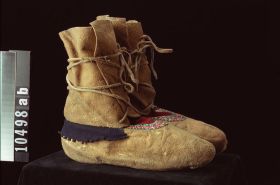 Image representing Moccasin.