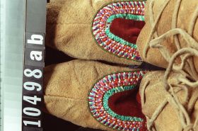 Image representing Moccasin.