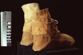 Image representing Moccasin.