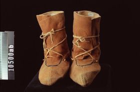 Image representing Moccasin.