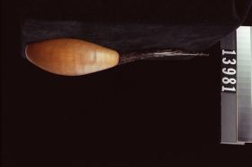 Image representing Spoon.
