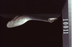 Image representing Spoon.