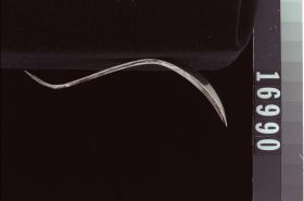 Image representing Spoon.