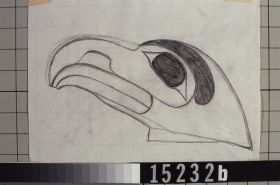 Image representing Drawing.