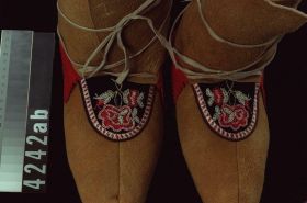 Image representing Moccasin.