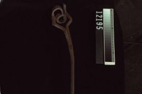 Image representing Iron.