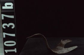 Image representing Hook.