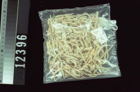 Image representing Raw Material.