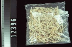Image representing Raw Material.