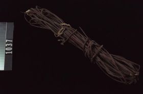 Image representing Skin.