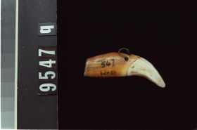 Image représentant Charm