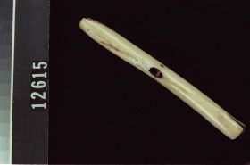 Image representing Soul Catcher.