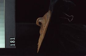Image representing Comb.