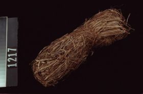 Image representing Fibre.