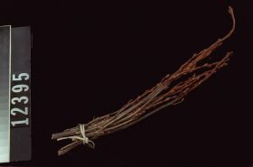 Image representing Raw Material.